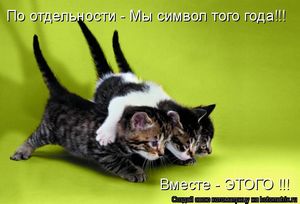10 Самых престижных профессий, связанных с домашними животн... - ч. 3 специалист 10 Самых престижных профессий, связанных с домашними животн... - ч. 3 специалист