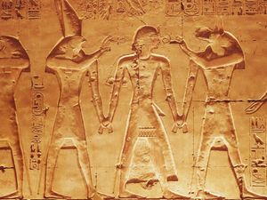 Абиссинские кошки о породе: история, стандарты, содержание. - ч. 4 древний