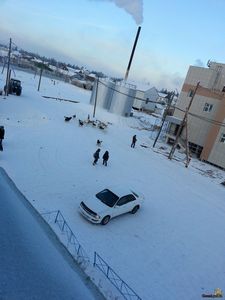 Агрессивные собаки: причины возникновения агрессии у собак. - ч. 6 команда Агрессивные собаки: причины возникновения агрессии у собак. - ч. 6 команда
