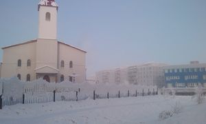Бить или не бить собаку. - ч. 2 вожак Бить или не бить собаку. - ч. 2 вожак