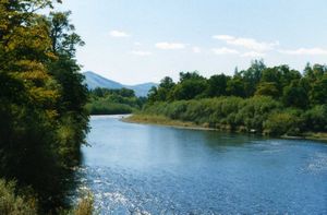 Болезни, вызванные недостатком растворимого в воде кислорода вод