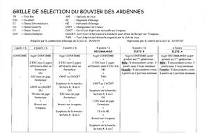 BOUVIER DES ARDENNES порода BOUVIER DES ARDENNES порода