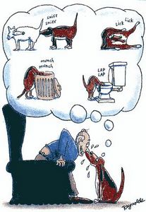 Что думают ваши звери. - ч. 2 собака