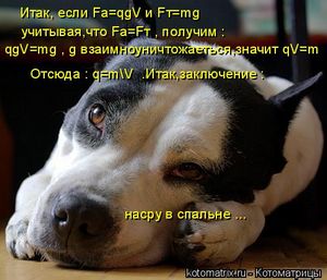 Что думают ваши звери. - ч. 5 тест Что думают ваши звери. - ч. 5 тест