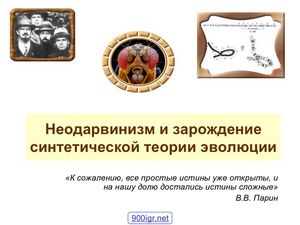 Дрейф генов как фактор эволюции. ген