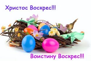 Елена и Сергей Горбацевич Пекинес Елена и Сергей Горбацевич Пекинес
