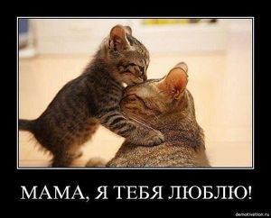 Фитотерапия - ч. 3 другой Фитотерапия - ч. 3 другой