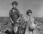 Гены цвета: - ч. 3 окрас Гены цвета: - ч. 3 окрас