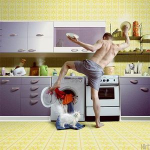 Идеальное расписание дня для кошки. кошка Идеальное расписание дня для кошки. кошка