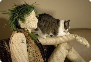 Когти кошки. Потребность в когтедралках - ч. 2 кошка Когти кошки. Потребность в когтедралках - ч. 2 кошка
