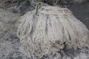 Многоводие симптом Многоводие симптом