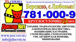 Неотложка для собак — ветеринарная помощь на дому. помощь Неотложка для собак — ветеринарная помощь на дому. помощь