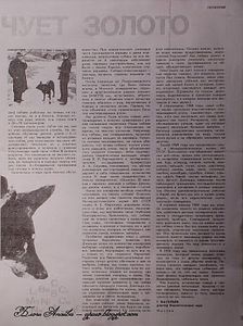 НЮХ СОБАКИ - ч. 9 орган НЮХ СОБАКИ - ч. 9 орган