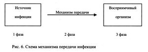 Новое в диагностике вирусных заболеваний кошек - ч. 3 друг Новое в диагностике вирусных заболеваний кошек - ч. 3 друг