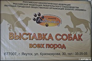 ПЕРВЫЕ ВЫСТАВКИ КОШЕК В АМЕРИКЕ - ч. 7 TICA ПЕРВЫЕ ВЫСТАВКИ КОШЕК В АМЕРИКЕ - ч. 7 TICA