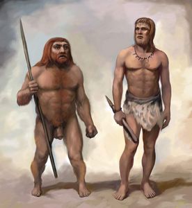Почему собаки прячут кости? собака Почему собаки прячут кости? собака