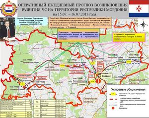Поведение кошки в норме. - ч. 28 животное