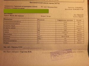 Поведение кошки в норме. - ч. 7 кошка
