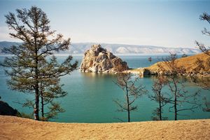Реликтовая первопорода собак: монгольская овчарка — банхар. - ч. 22 собака