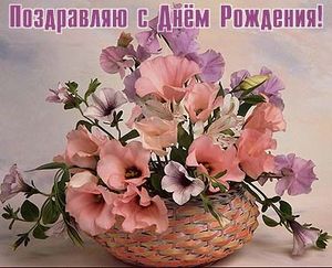 Результаты по зенненхундам кобель Результаты по зенненхундам кобель