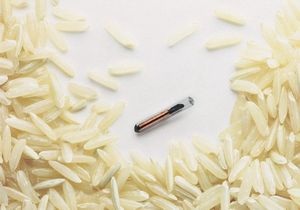 RFID — радиометки: «Может ли ваша кошка заразиться компьютерным... - ч. 2 система RFID — радиометки: «Может ли ваша кошка заразиться компьютерным... - ч. 2 система