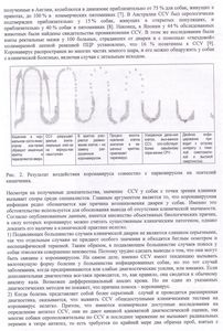 РОТАВИРУСНЫЙ ЭНТЕРИТ - ч. 2 котенок