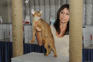 RUI Cat Show  , 13-14  2010 