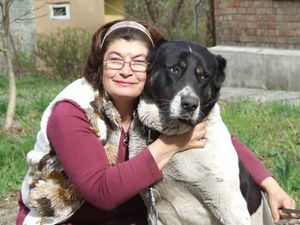 Самая маленькая в мире полицейская собака полицейский Самая маленькая в мире полицейская собака полицейский