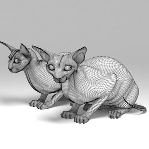 Сфинкс — Еще не человек, уже не кошка. - ч. 4 кошка Сфинкс — Еще не человек, уже не кошка. - ч. 4 кошка