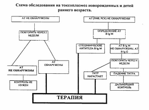 ТОКСОПЛАЗМОЗ КОШЕК И СОБАК (ЧАСТЬ 2) - ч. 8 мясо ТОКСОПЛАЗМОЗ КОШЕК И СОБАК (ЧАСТЬ 2) - ч. 8 мясо