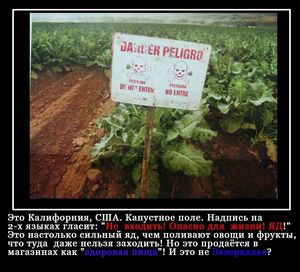 В Украине появились фальсификаты минерально-витаминной... подделка В Украине появились фальсификаты минерально-витаминной... подделка
