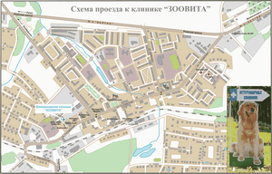 Ветеринарный справочник специалист