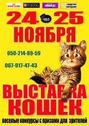 Выставка кошек клуба ИРБИС, WCF выставка Выставка кошек клуба ИРБИС, WCF выставка