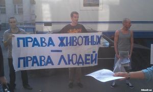 Жестокое обращение с животными, статистика - ч. 4 жестокий Жестокое обращение с животными, статистика - ч. 4 жестокий