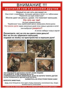 Жестокое обращение с животными, статистика - ч. 5 обращение Жестокое обращение с животными, статистика - ч. 5 обращение